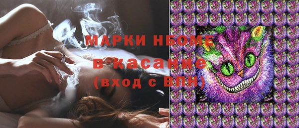 хмурый Арсеньев