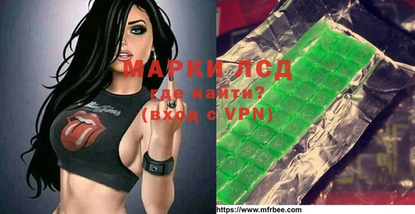 стаф Баксан