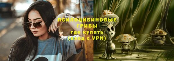 стаф Баксан