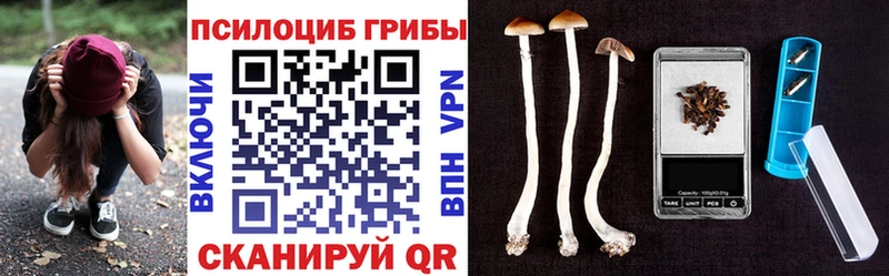 shop как зайти  Зима  Псилоцибиновые грибы MAGIC MUSHROOMS  omg tor 