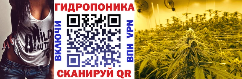 купить наркотики цена  Зима  darknet клад  Шишки марихуана марихуана 